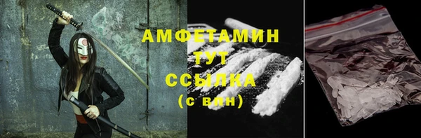 ECSTASY Алзамай