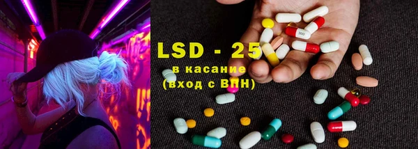 ECSTASY Алзамай