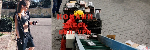 a pvp Алексин