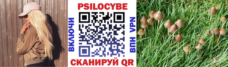 Галлюциногенные грибы прущие грибы blacksprut tor Ардон